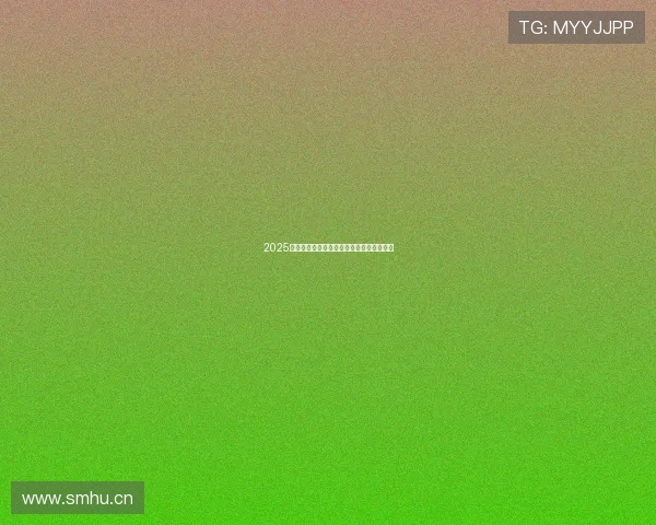 2025赛季英超联赛已进行多少轮赛事分析与展望